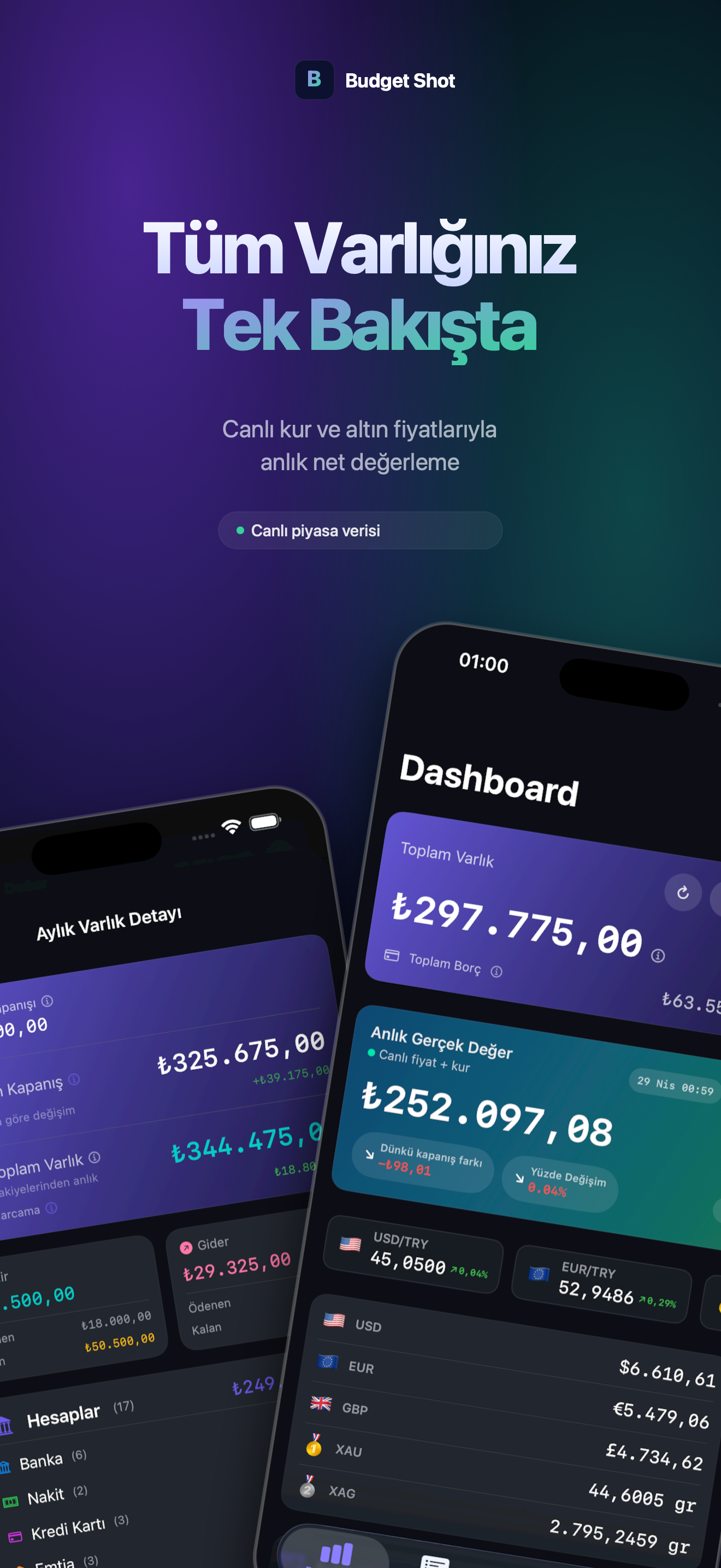 BudgetShot asset summary
