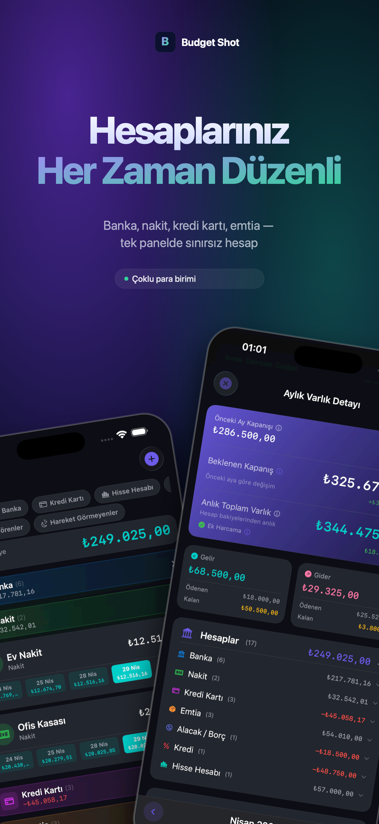 BudgetShot accounts screen